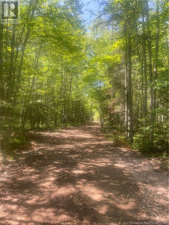 Cox Point Road, Cumberland Bay, New Brunswick  E4A 2Y8 - Photo 1 - NB112322