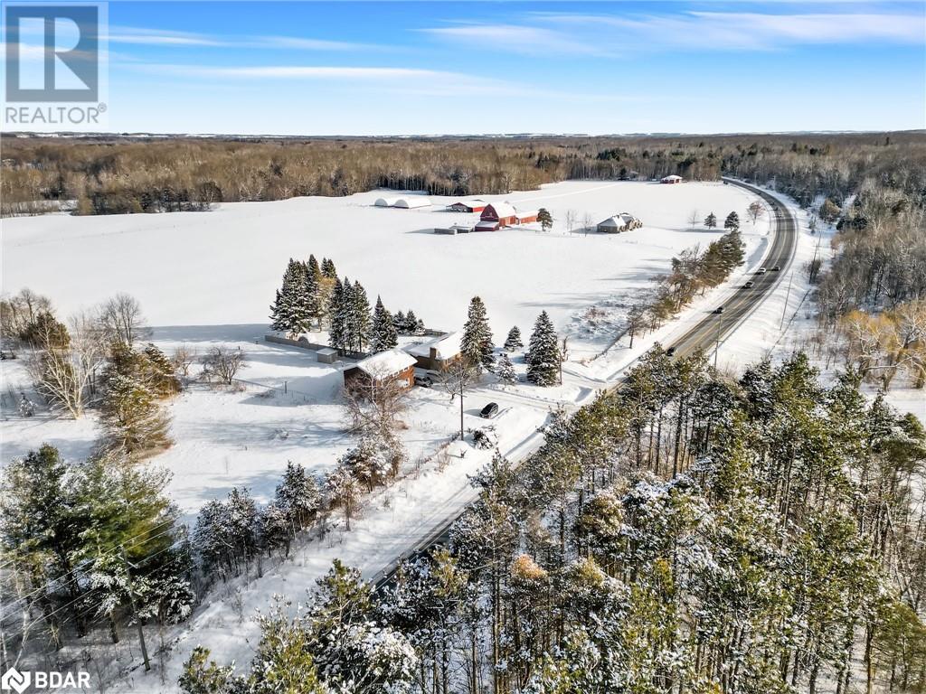 7925 10 County Road, Angus, Ontario  L0M 1B1 - Photo 28 - 40695460