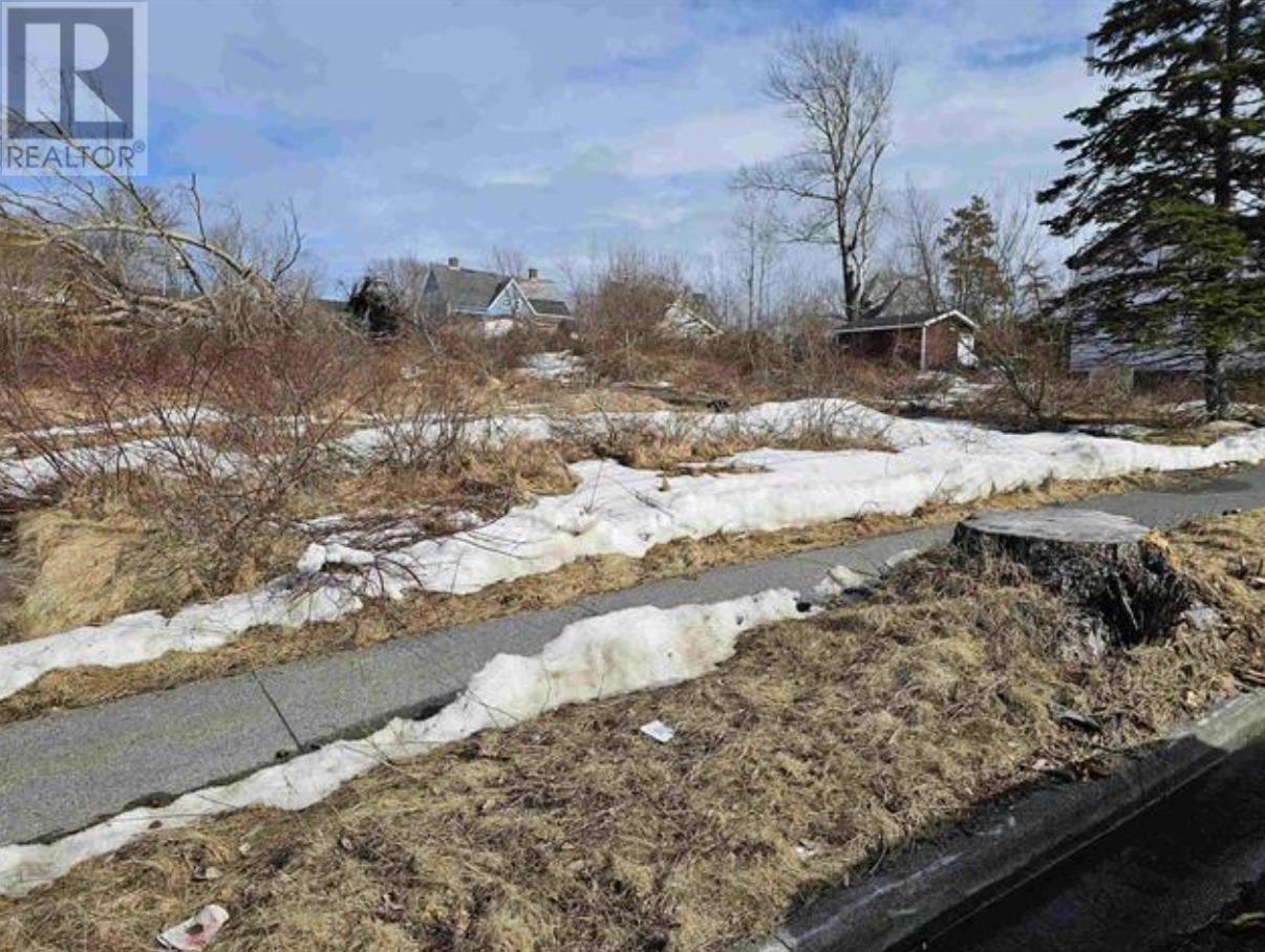 130-136 Richmond Street, Sydney, Nova Scotia  B1P 2V2 - Photo 2 - 202502444