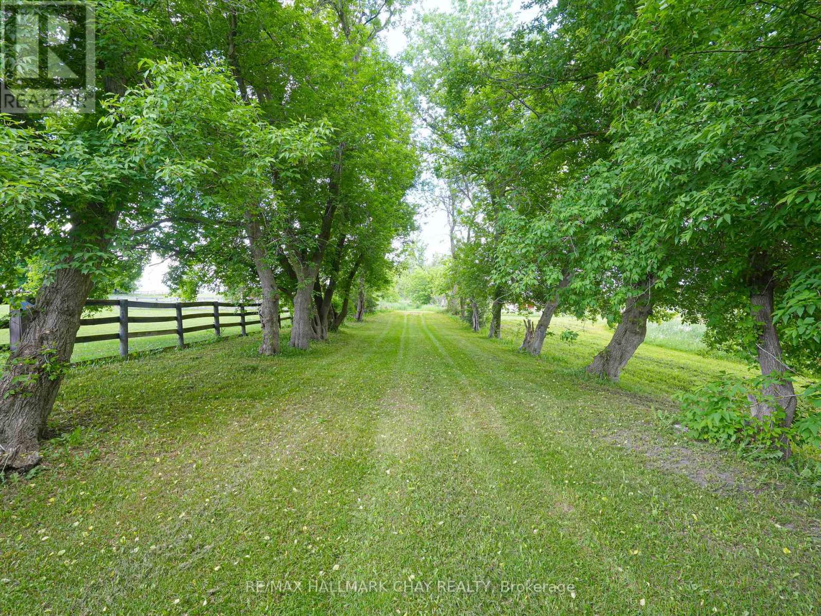 528375 5th Side Road, Mulmur, Ontario  L9V 0R6 - Photo 35 - X11960440