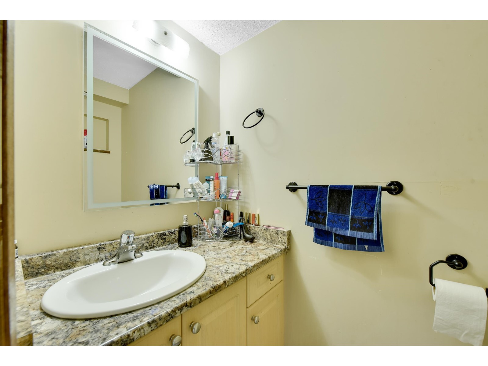 7390 129 Street, Surrey, British Columbia  V3W 7B8 - Photo 16 - R2964306