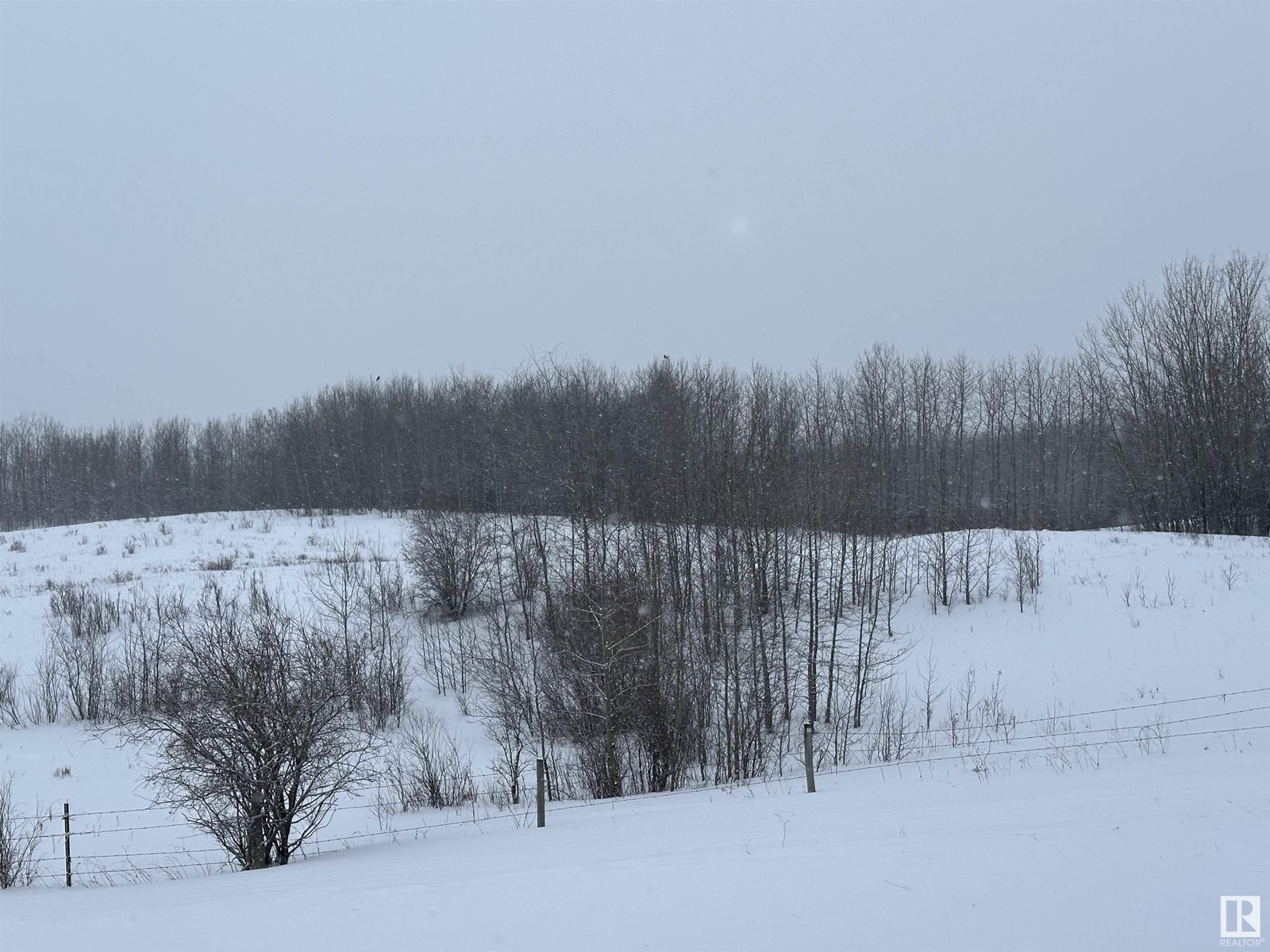 20255 And 20256 Highway 14, Rural Strathcona County, Alberta  T0B 4J0 - Photo 7 - E4420587