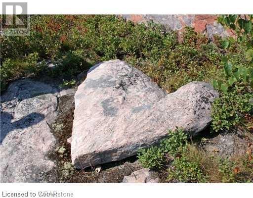 3351 Miller Island, French River, Ontario  P0M 1A0 - Photo 3 - 40696880