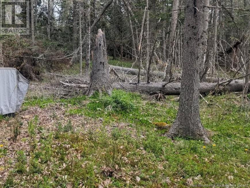 Lot Upper Cape Road, Botsford, New Brunswick  E4M 2W7 - Photo 2 - NB112350