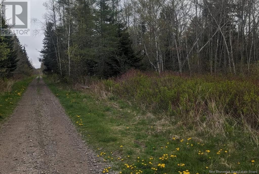 Lot Upper Cape Road, Botsford, New Brunswick  E4M 2W7 - Photo 3 - NB112350