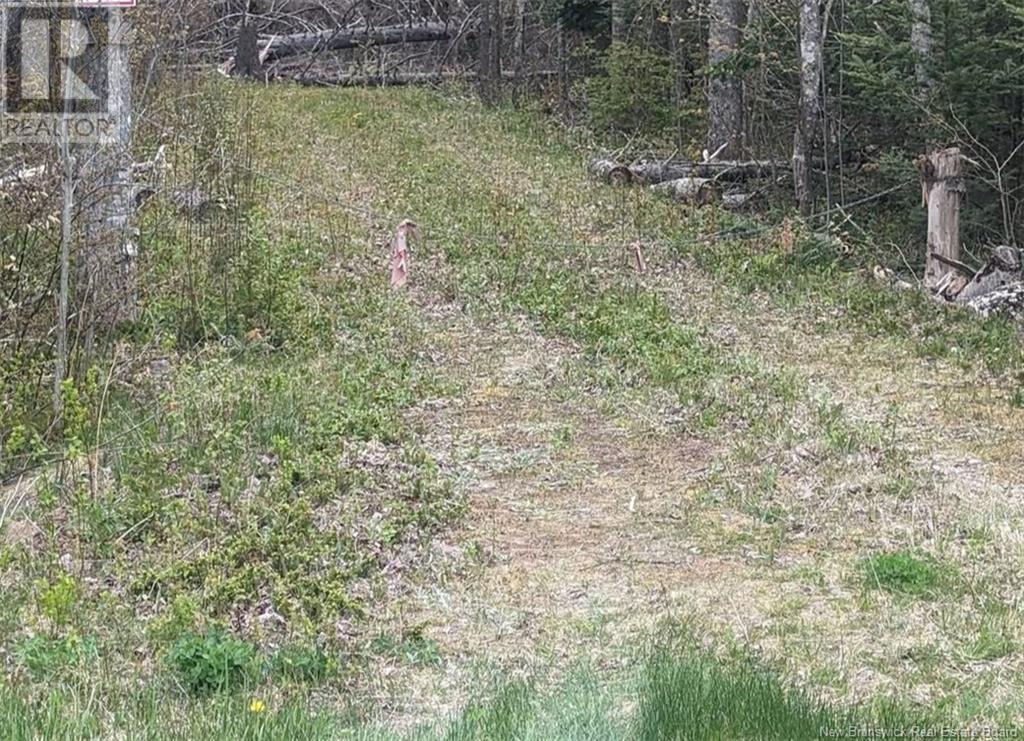 Lot Upper Cape Road, Botsford, New Brunswick  E4M 2W7 - Photo 4 - NB112350