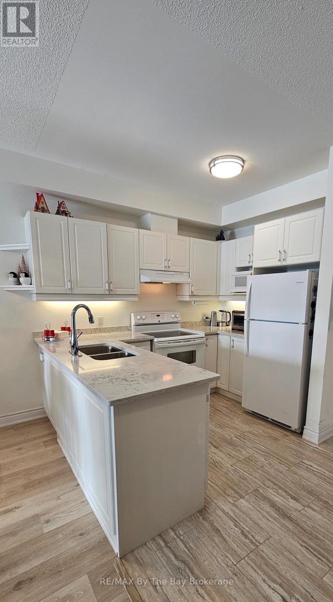213 - 91 Raglan Street, Collingwood, Ontario  L9Y 0B2 - Photo 5 - S11959662