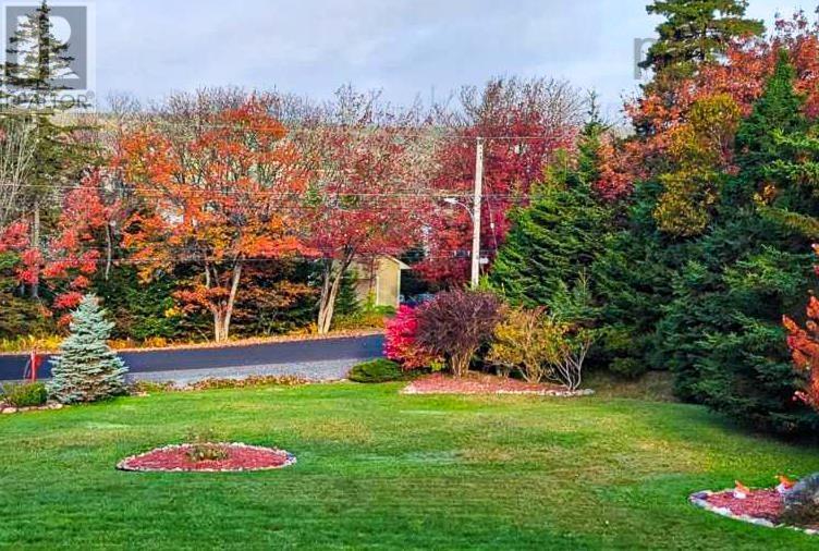 261 Seligs Road, Prospect, Nova Scotia  B3T 2A7 - Photo 3 - 202502498