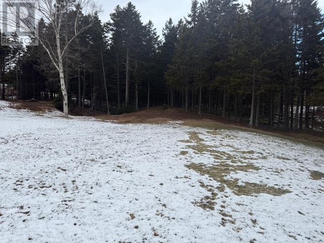 4156 Highway 331, Dublin Shore, Nova Scotia  B0R 1C0 - Photo 10 - 202501732