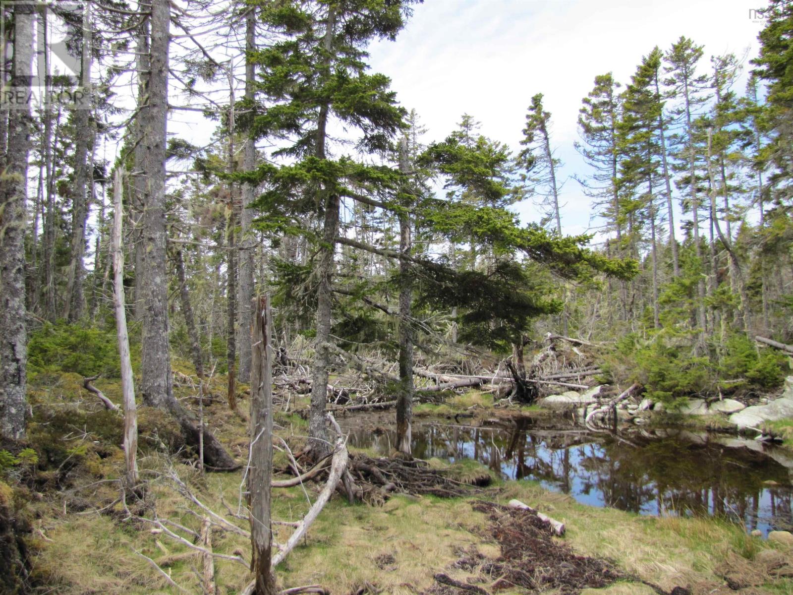 Lot 5 Hirtle Island, Lahave Islands, Nova Scotia  B0R 1C0 - Photo 22 - 202502505
