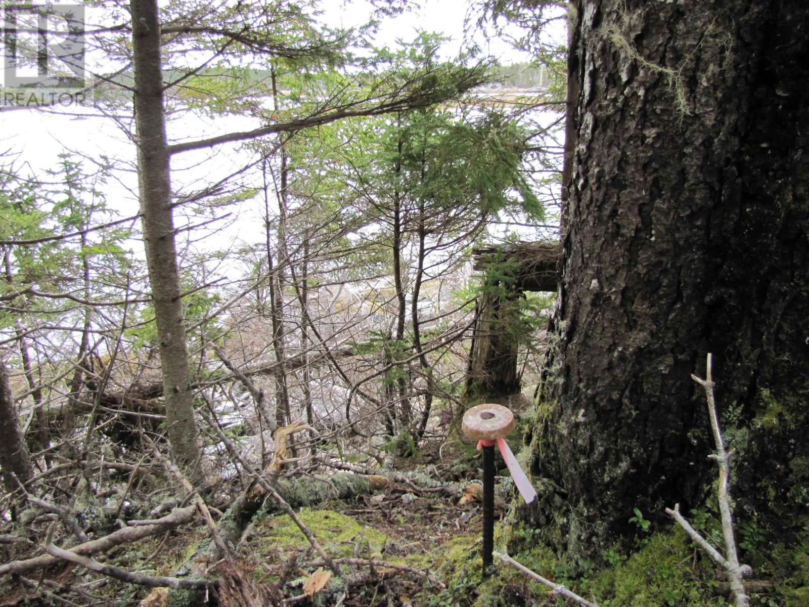 Lot 5 Hirtle Island, Lahave Islands, Nova Scotia  B0R 1C0 - Photo 24 - 202502505