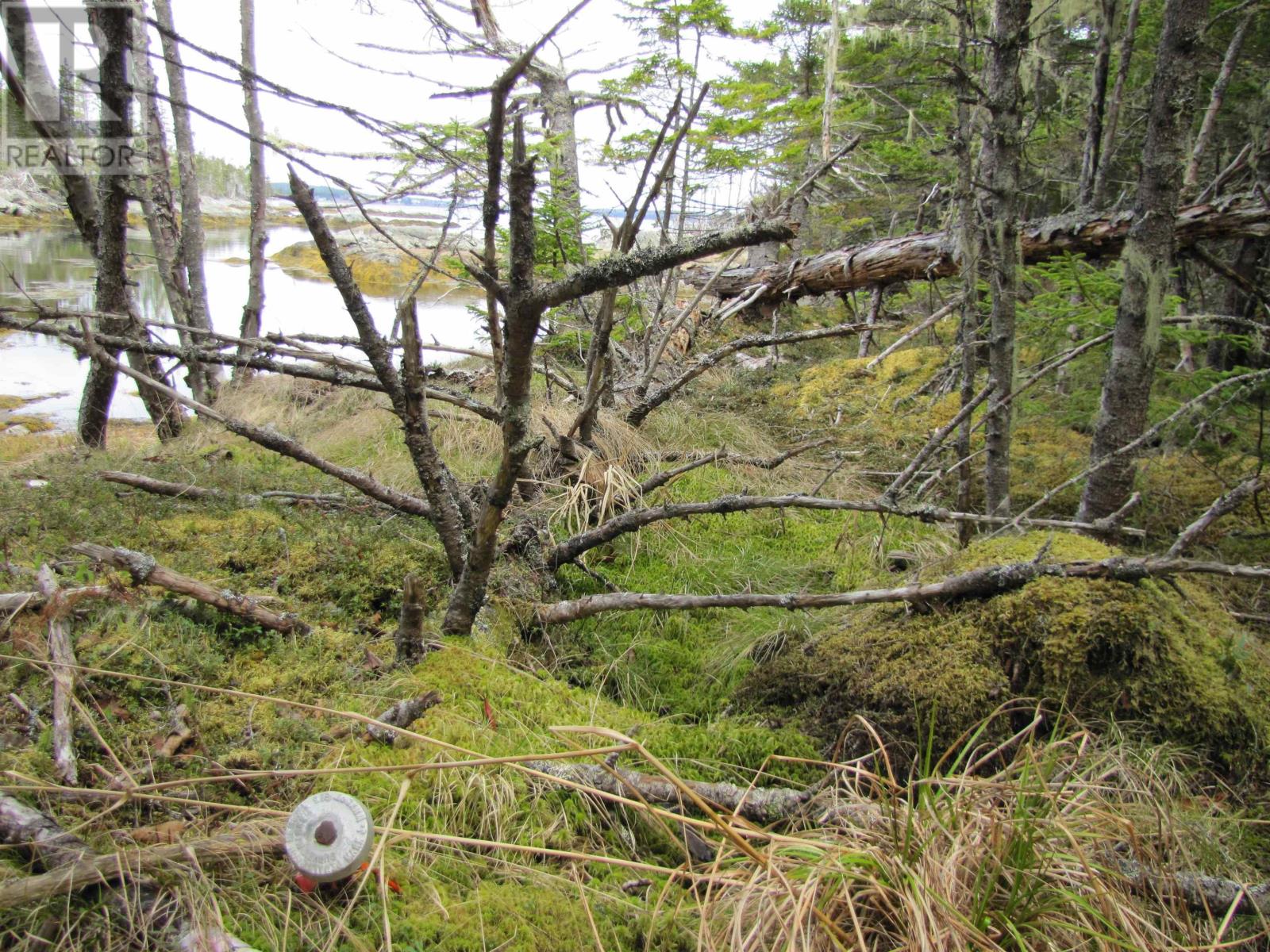 Lot 5 Hirtle Island, Lahave Islands, Nova Scotia  B0R 1C0 - Photo 26 - 202502505