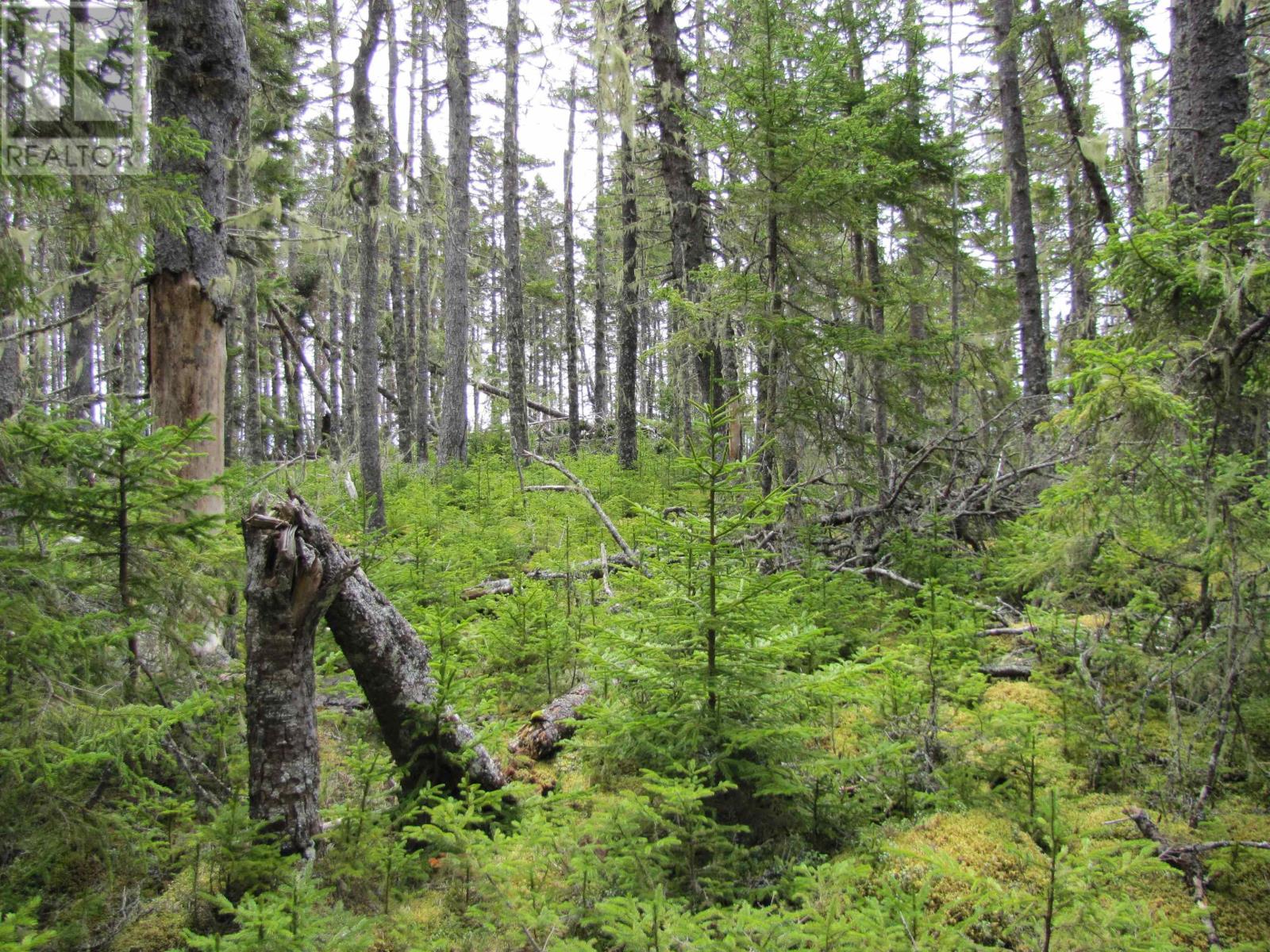 Lot 5 Hirtle Island, Lahave Islands, Nova Scotia  B0R 1C0 - Photo 30 - 202502505