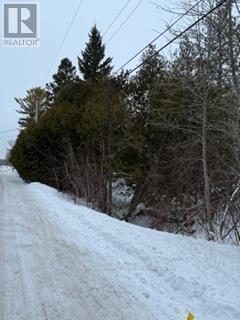 20805 Brock Road, Brock, Ontario  L0E 1E0 - Photo 28 - N11951771