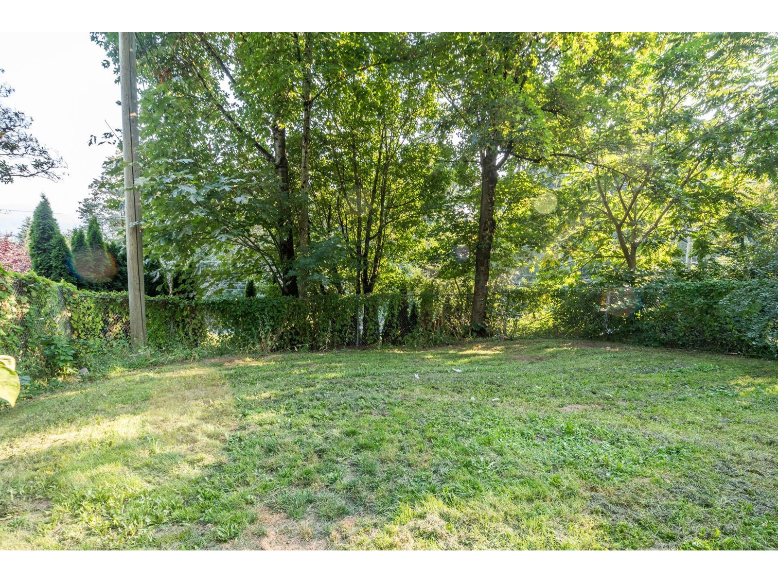 35421 Old Yale Road, Abbotsford, British Columbia  V3G 2C5 - Photo 6 - R2963754