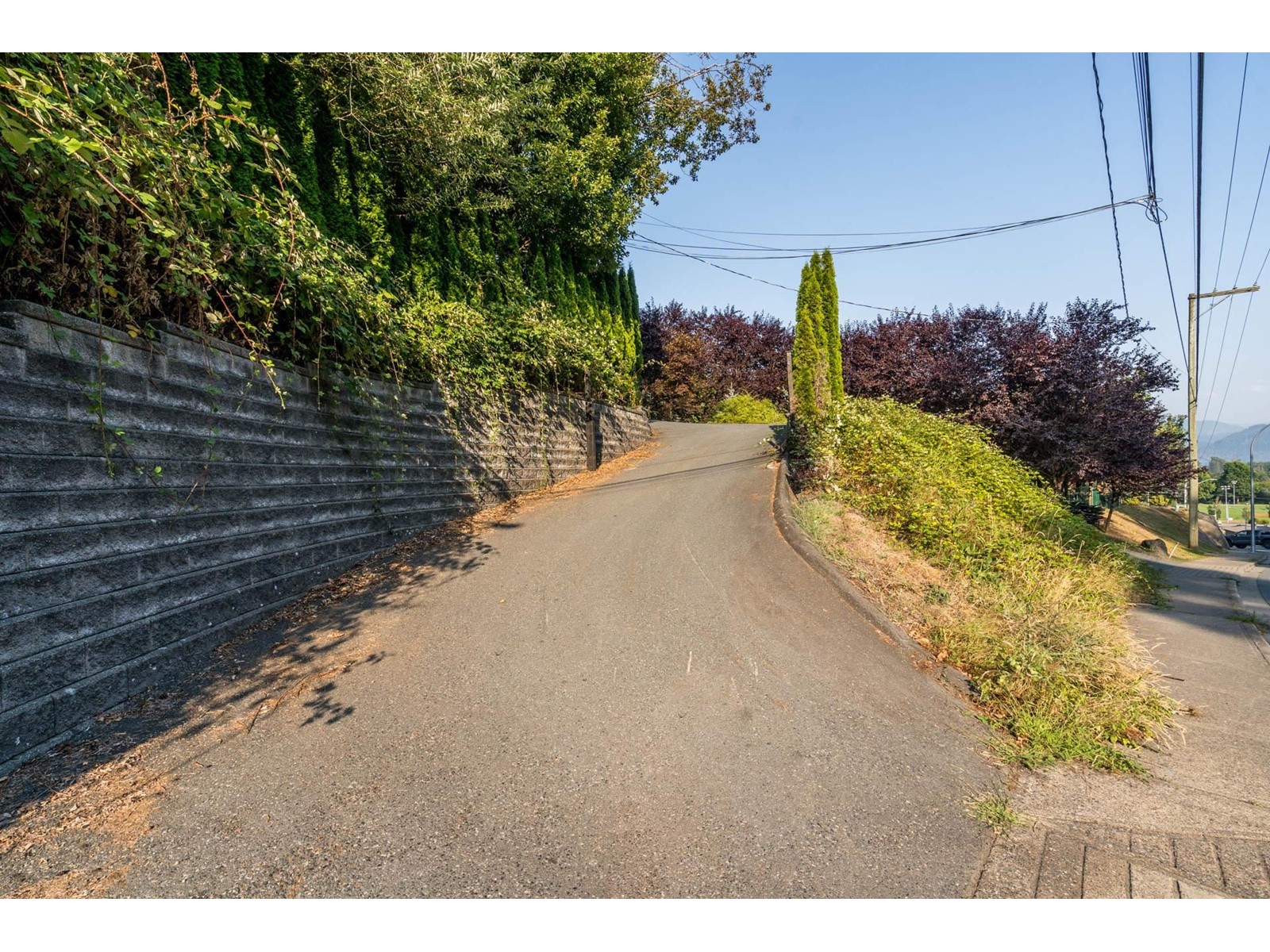 35421 Old Yale Road, Abbotsford, British Columbia  V3G 2C5 - Photo 35 - R2963754