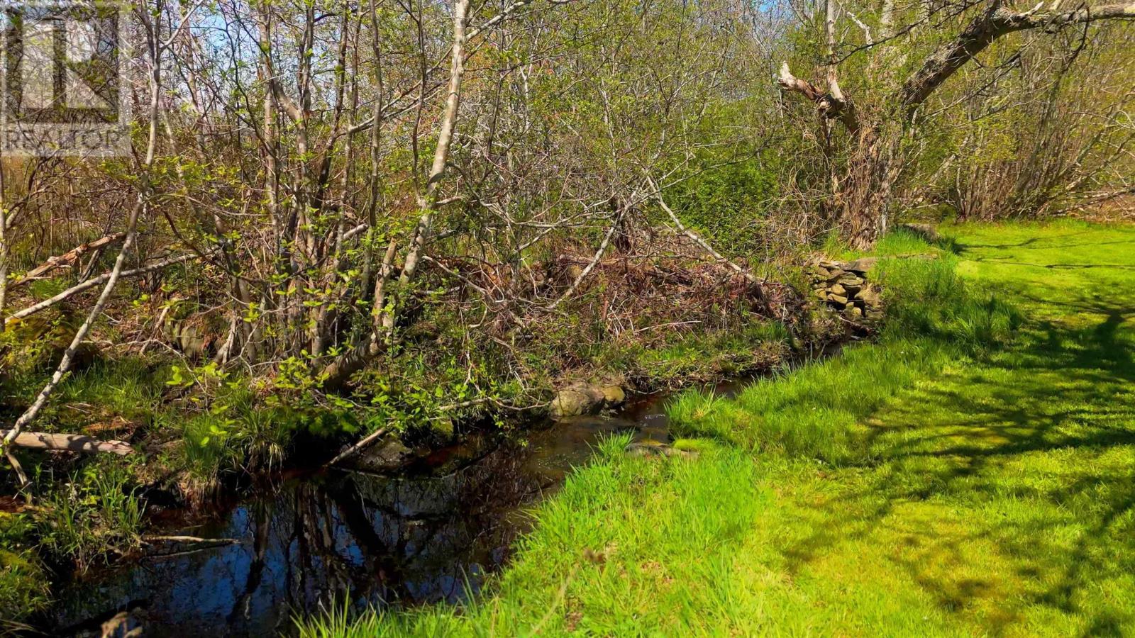 888 Highway 340, South Ohio, Nova Scotia  B5A 5N2 - Photo 32 - 202502511