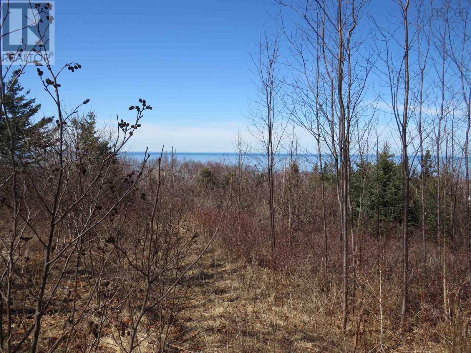 Lot 6 Shore Road, Parkers Cove, Nova Scotia  B0S 1A0 - Photo 2 - 202502516