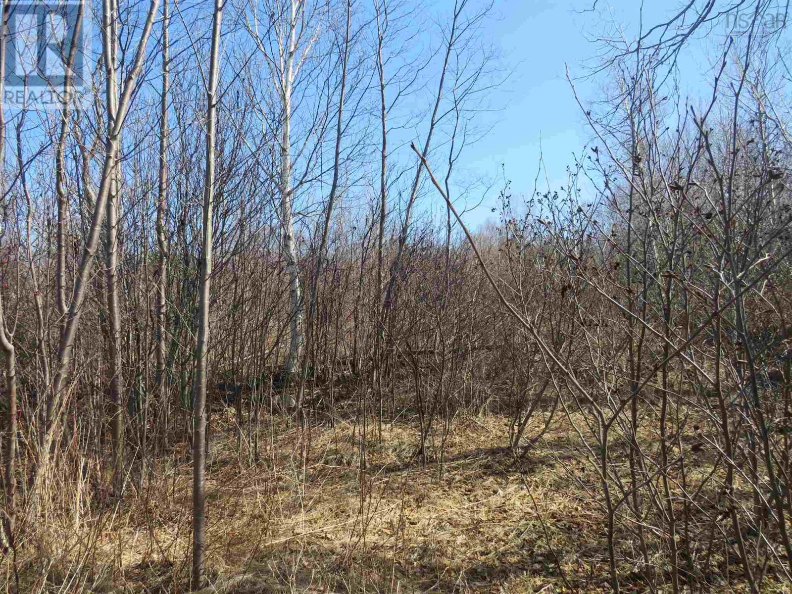 Lot 6 Shore Road, Parkers Cove, Nova Scotia  B0S 1A0 - Photo 3 - 202502516