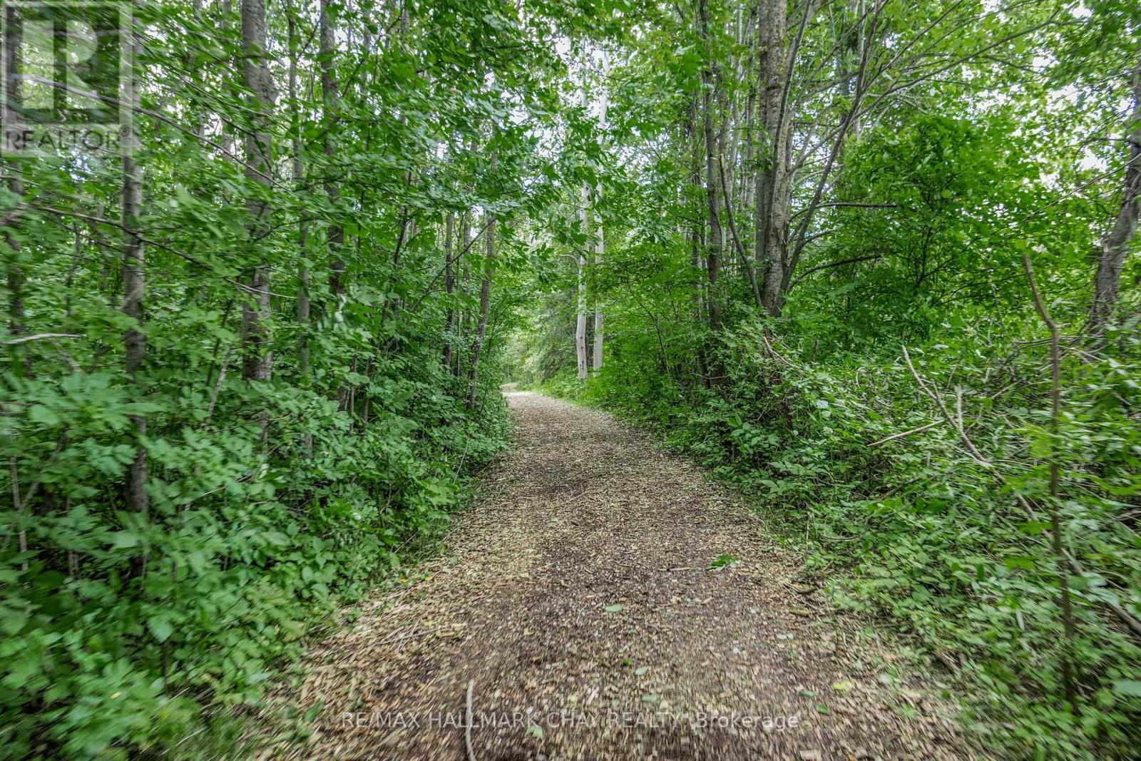 2592 Concession Road 4 Concession, Adjala-Tosorontio, Ontario  L0G 1L0 - Photo 32 - N11962321