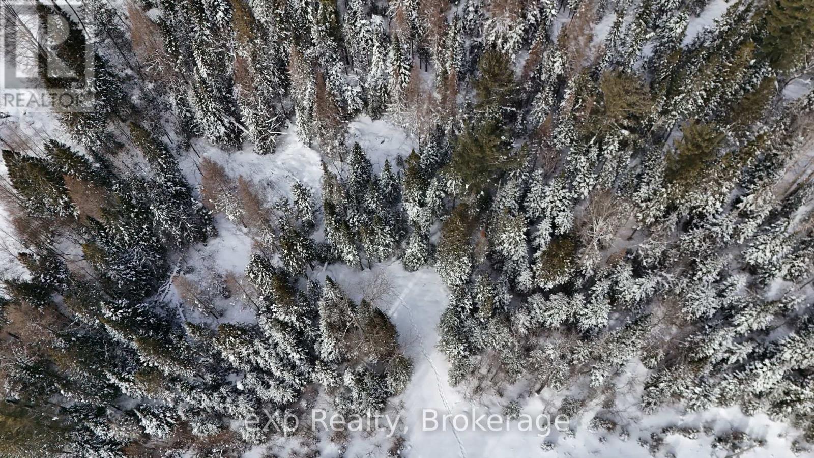 2243 Etwell Road, Huntsville, Ontario  P1H 2J2 - Photo 12 - X11948557