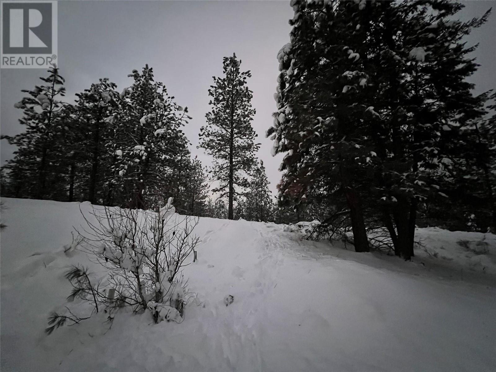 236 Corral Boulevard, Cranbrook, British Columbia  V1C 0C2 - Photo 8 - 10329566