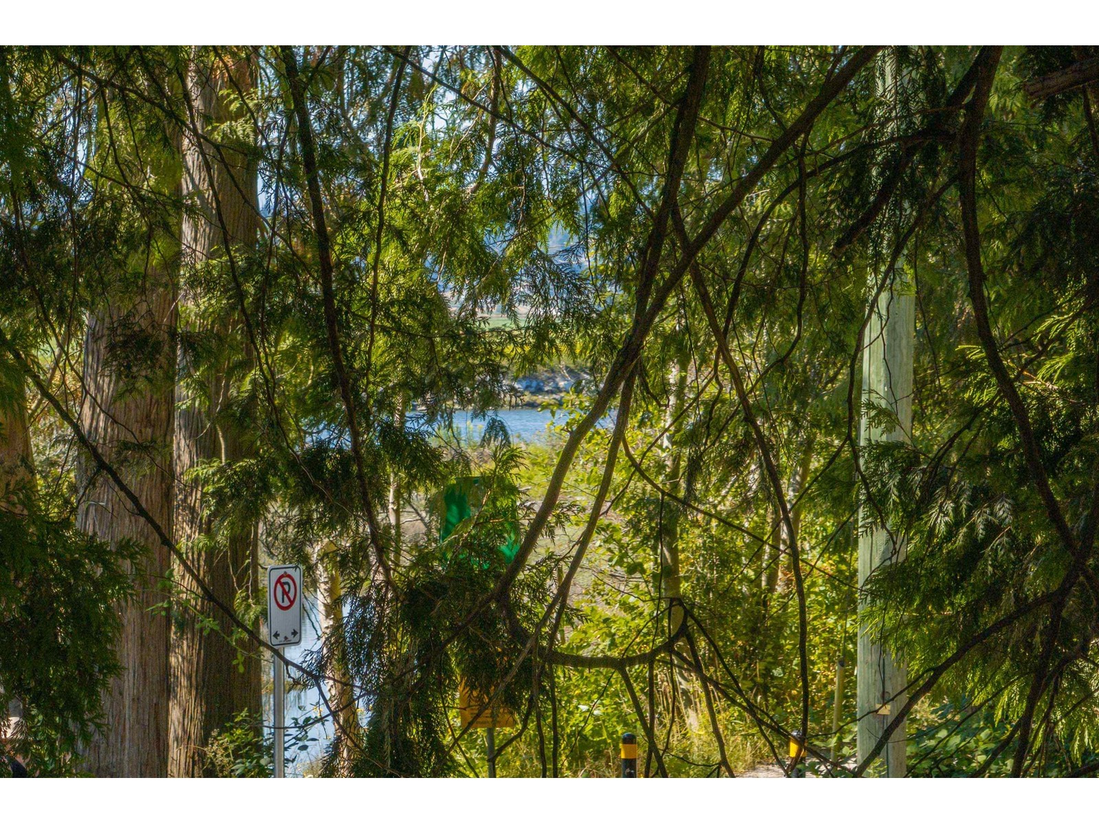13937 35a Avenue, Surrey, British Columbia  V4P 1L2 - Photo 36 - R2964225