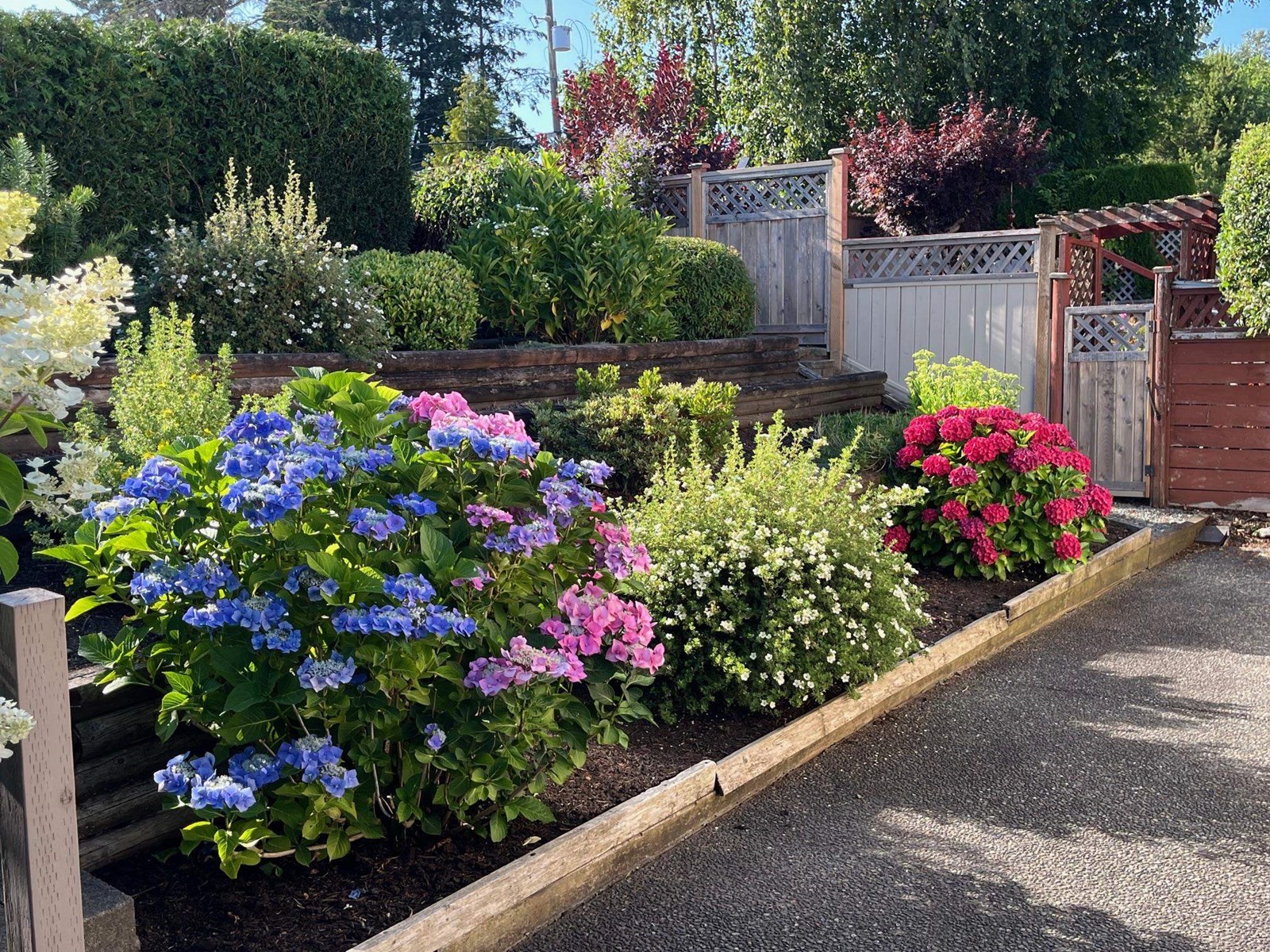 7 1400 164 Street, Surrey, British Columbia  V4A 8T4 - Photo 31 - R2964049