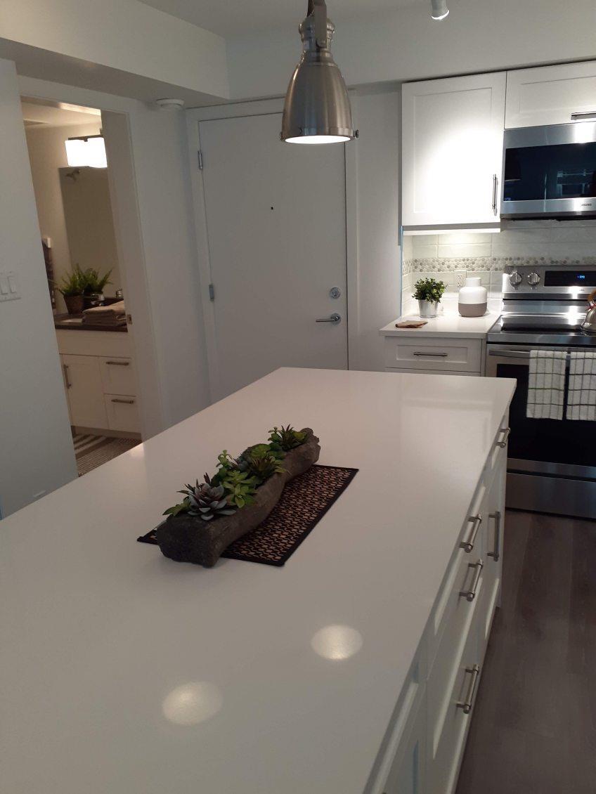 164 27358 32 Avenue, Langley, British Columbia  V4W 3M5 - Photo 11 - R2964676