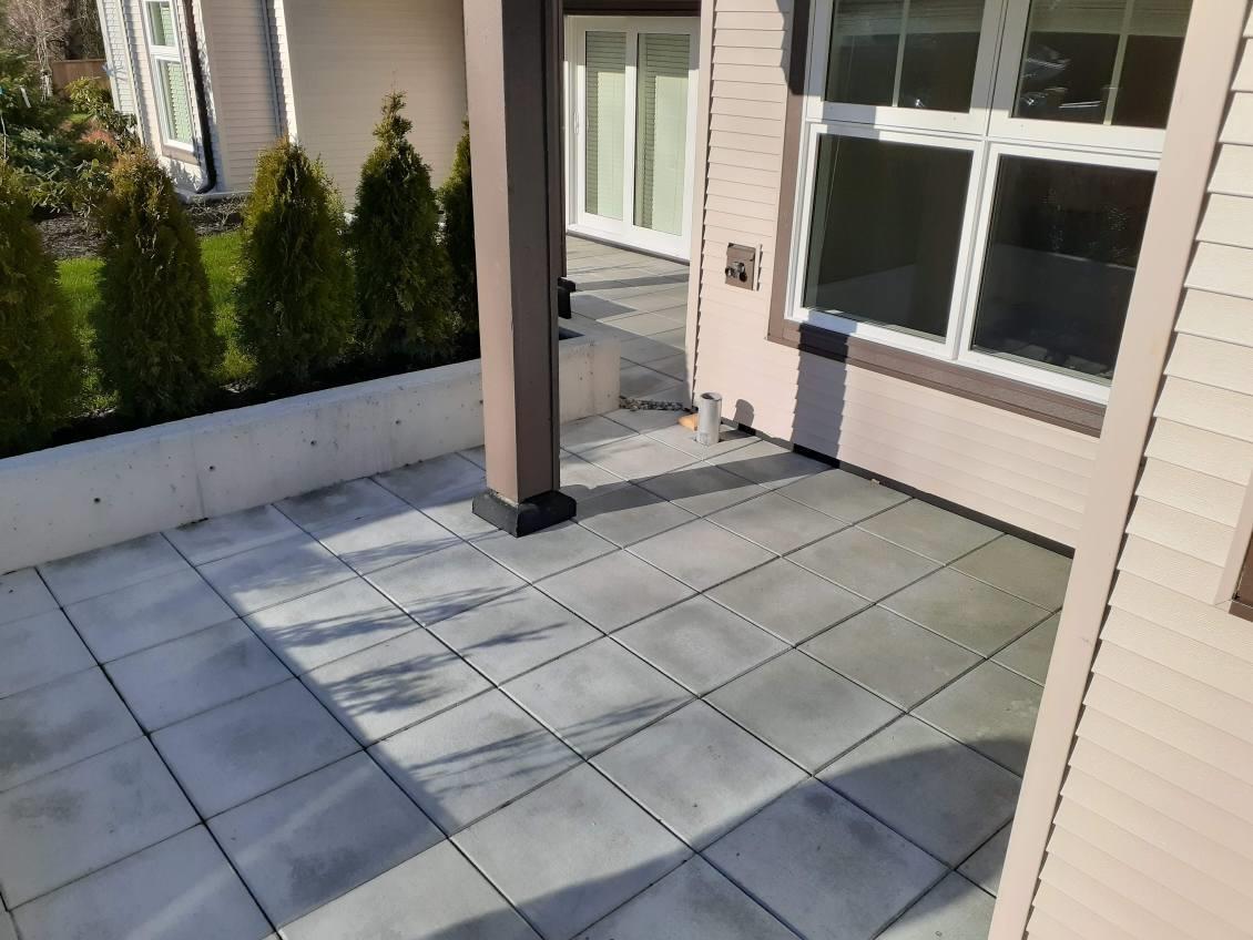 164 27358 32 Avenue, Langley, British Columbia  V4W 3M5 - Photo 8 - R2964676
