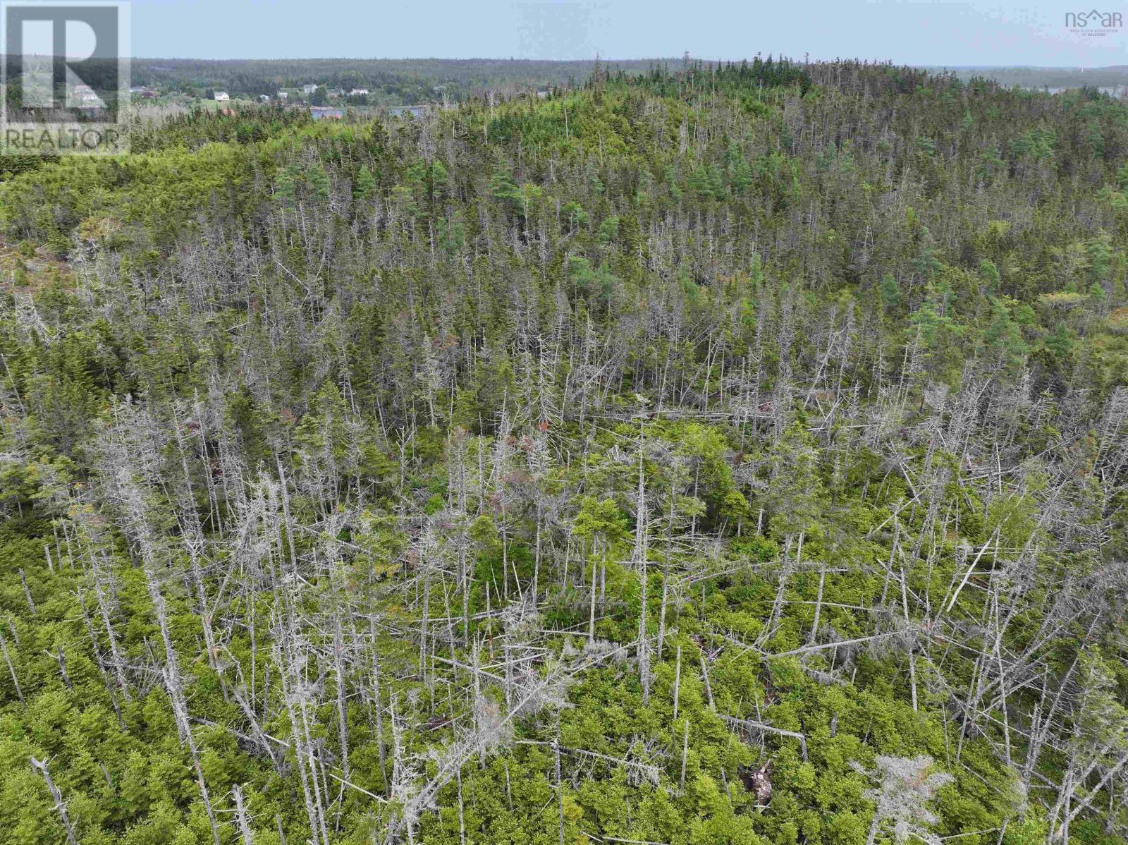 Lot 1 Mackinley Point Road, Spanish Ship Bay, Nova Scotia  B0J 1A0 - Photo 14 - 202502542