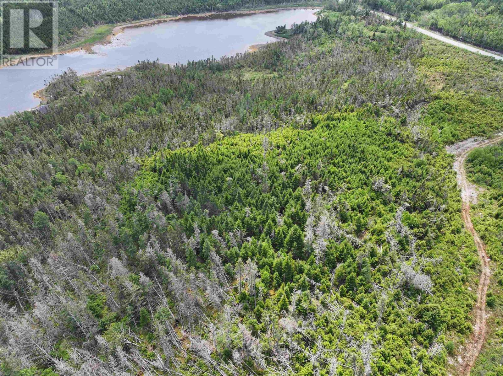 Lot 1 Mackinley Point Road, Spanish Ship Bay, Nova Scotia  B0J 1A0 - Photo 7 - 202502542