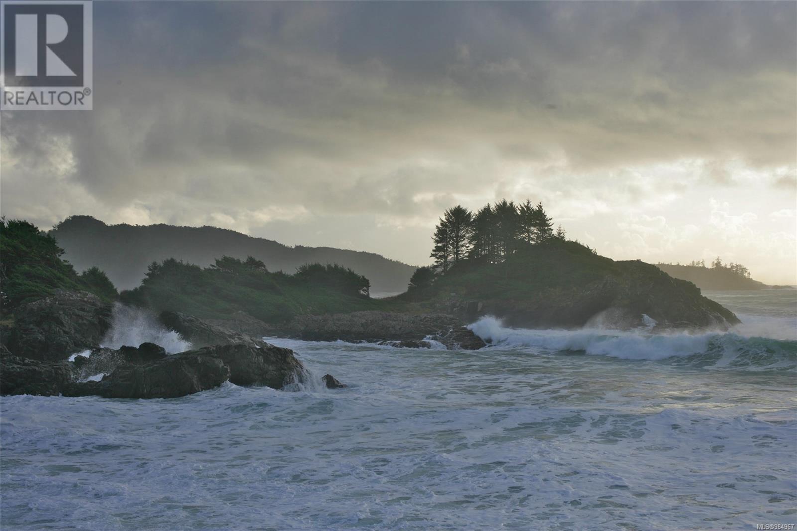 871 Moser Pl, Tofino, British Columbia