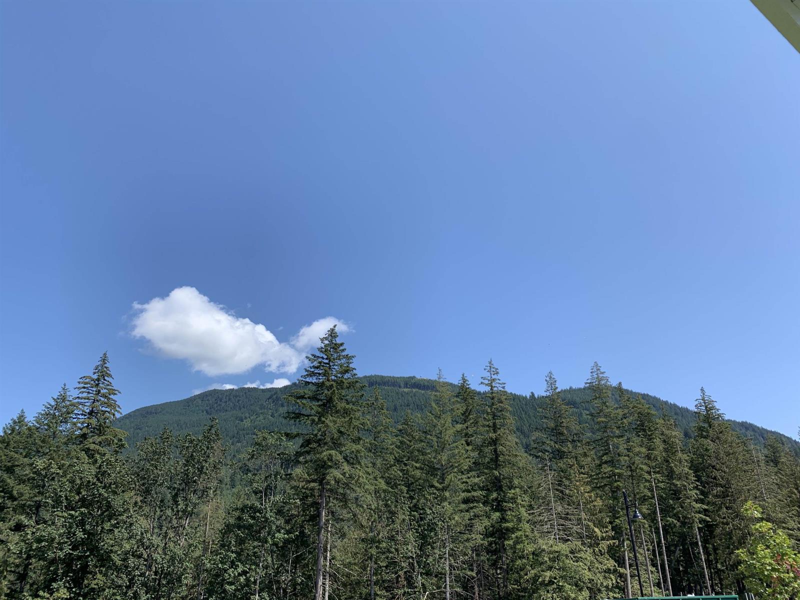 1953 Woodside Boulevard, Mt Woodside, Agassiz, British Columbia V0M 1A1 - Photo 28 - R2964363