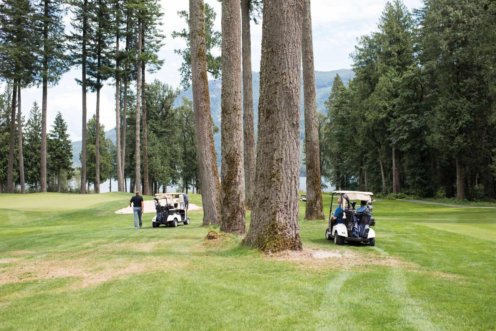 1953 Woodside Boulevard, Mt Woodside, Agassiz, British Columbia V0M 1A1 - Photo 31 - R2964363