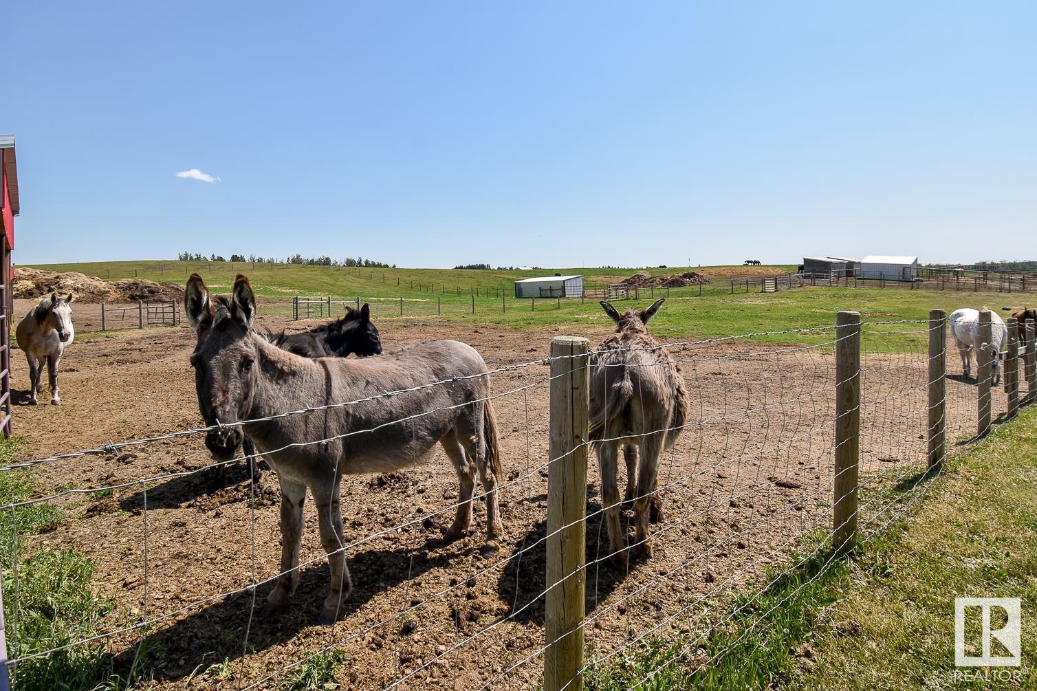 51211 Rge Rd 62, Rural Parkland County, Alberta  T0E 2H0 - Photo 50 - E4420789