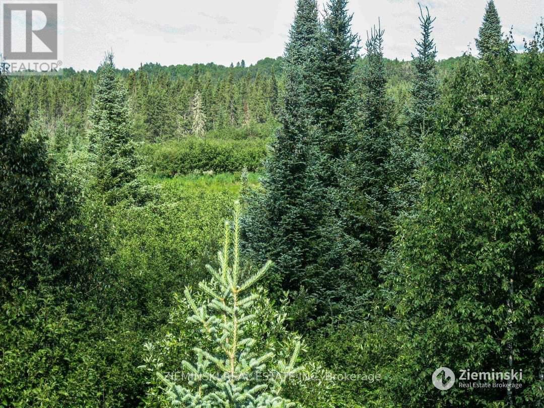 Lt 11 Con 3 Murphy Twshp Acres, Timmins, Ontario  P4N 7C3 - Photo 10 - T11962934