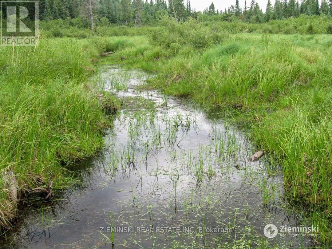 Lt 11 Con 3 Murphy Twshp Acres, Timmins, Ontario  P4N 7C3 - Photo 8 - T11962934