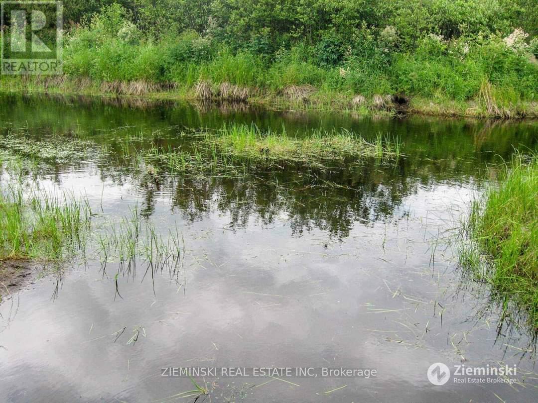 Lt 11 Con 3 Murphy Twshp Acres, Timmins, Ontario  P4N 7C3 - Photo 9 - T11962934