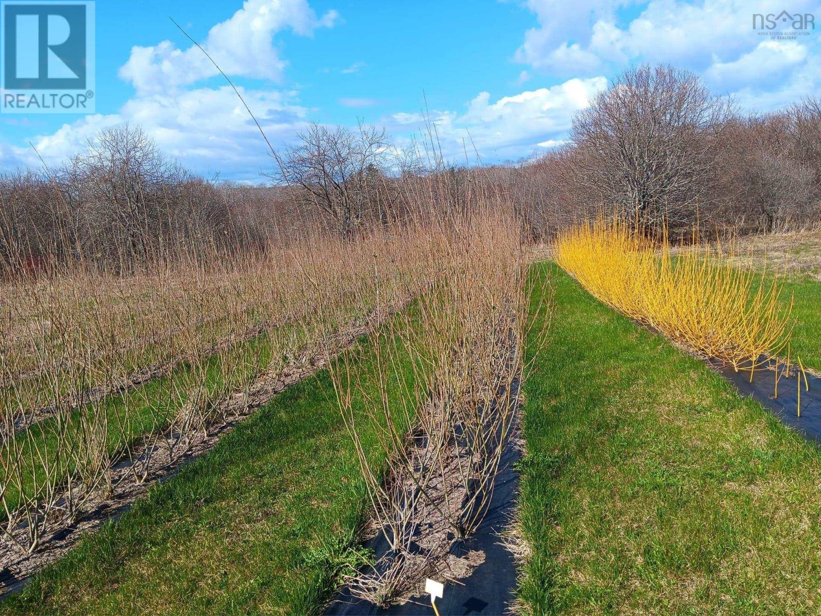 1453 Yankee Line Road, Middle River, Nova Scotia  B0E 1B0 - Photo 47 - 202502553