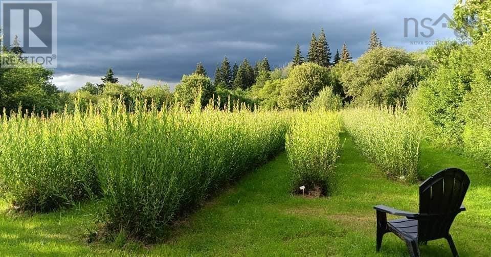 1453 Yankee Line Road, Middle River, Nova Scotia  B0E 1B0 - Photo 48 - 202502553