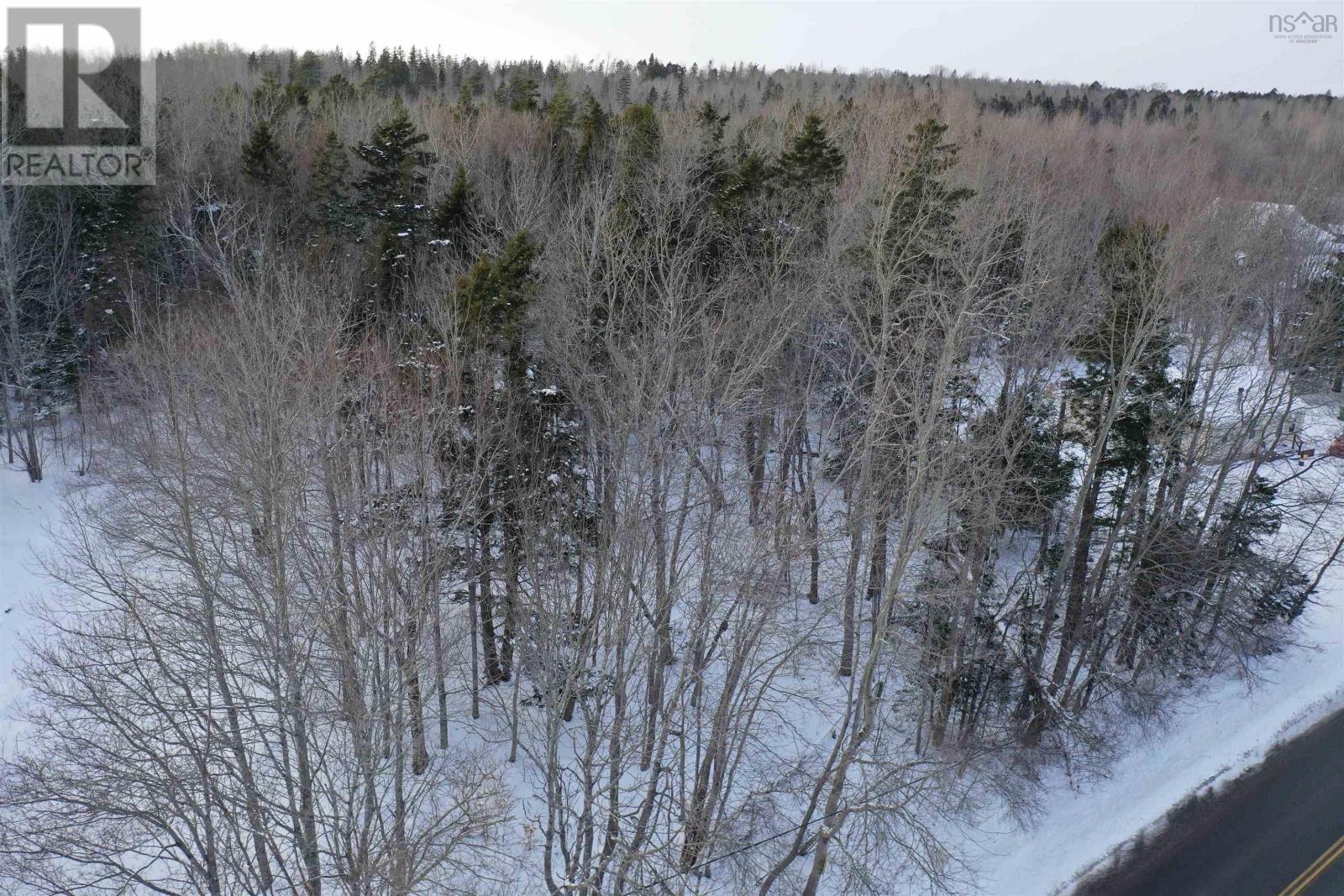 Lot Foxbrook Road, Westville, Nova Scotia  B0K 2A0 - Photo 3 - 202502557