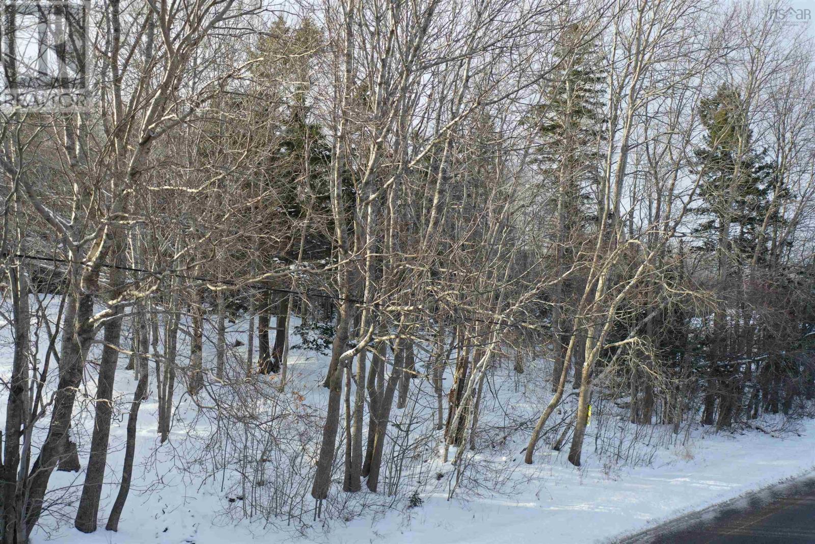 Lot Foxbrook Road, Westville, Nova Scotia  B0K 2A0 - Photo 4 - 202502557