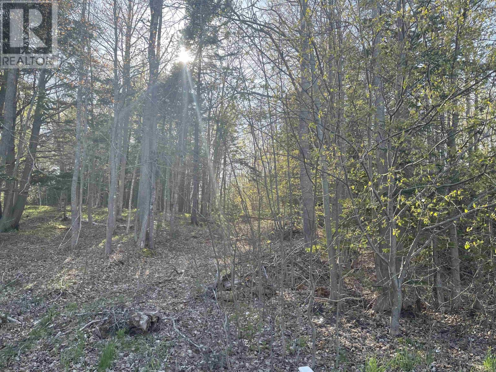 Lot Foxbrook Road, Westville, Nova Scotia  B0K 2A0 - Photo 8 - 202502557