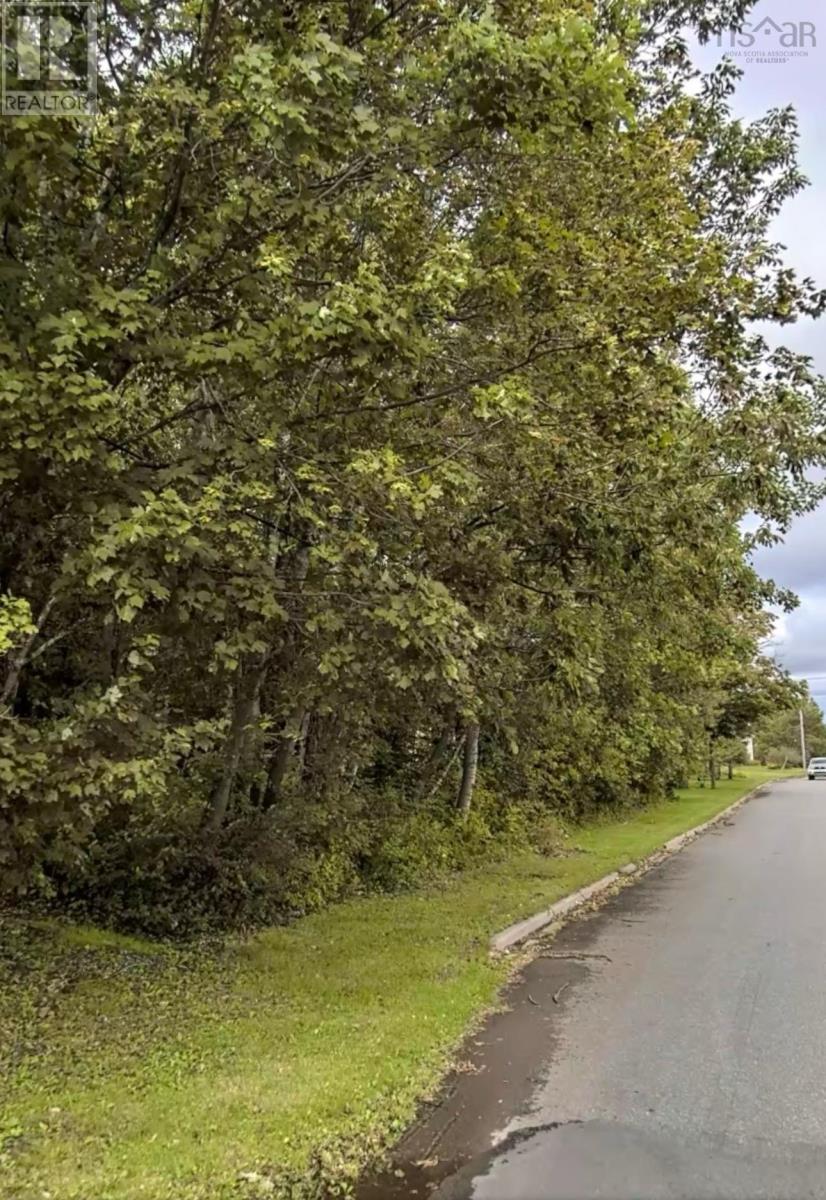 Lot Foxbrook Road, Westville, Nova Scotia  B0K 2A0 - Photo 9 - 202502557