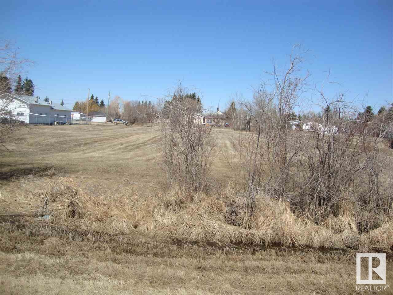 502 1 Av, Thorhild, Alberta  T0A 3J0 - Photo 8 - E4420858