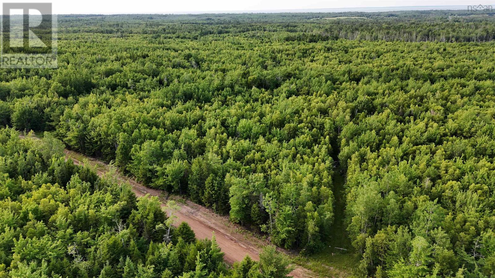 458 Acres Protection Road, Three Brooks, Nova Scotia  B0K 1H0 - Photo 3 - 202502384