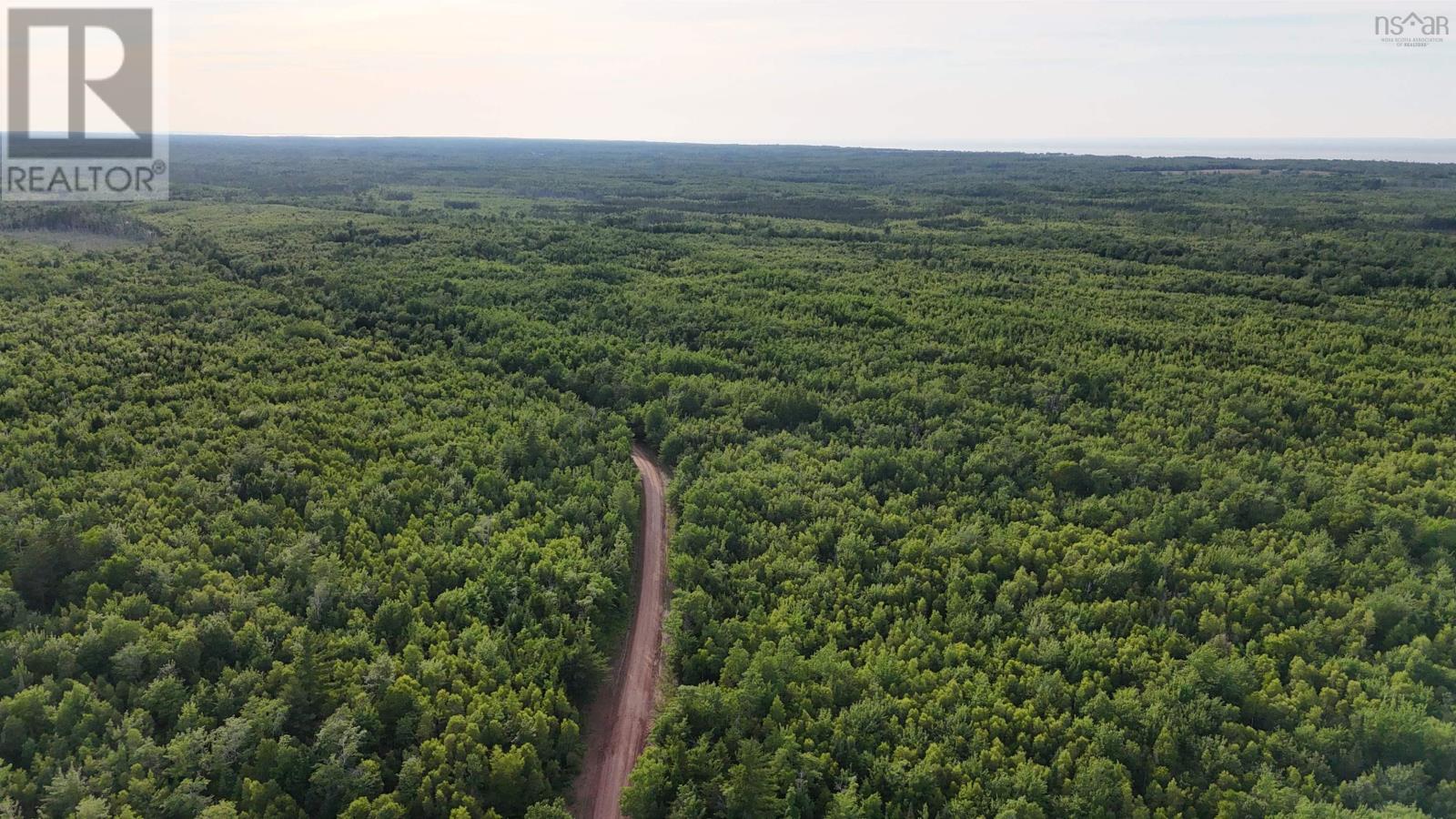 458 Acres Protection Road, Three Brooks, Nova Scotia  B0K 1H0 - Photo 5 - 202502384