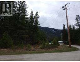 Lots 8-10 HUME Street, slocan, British Columbia