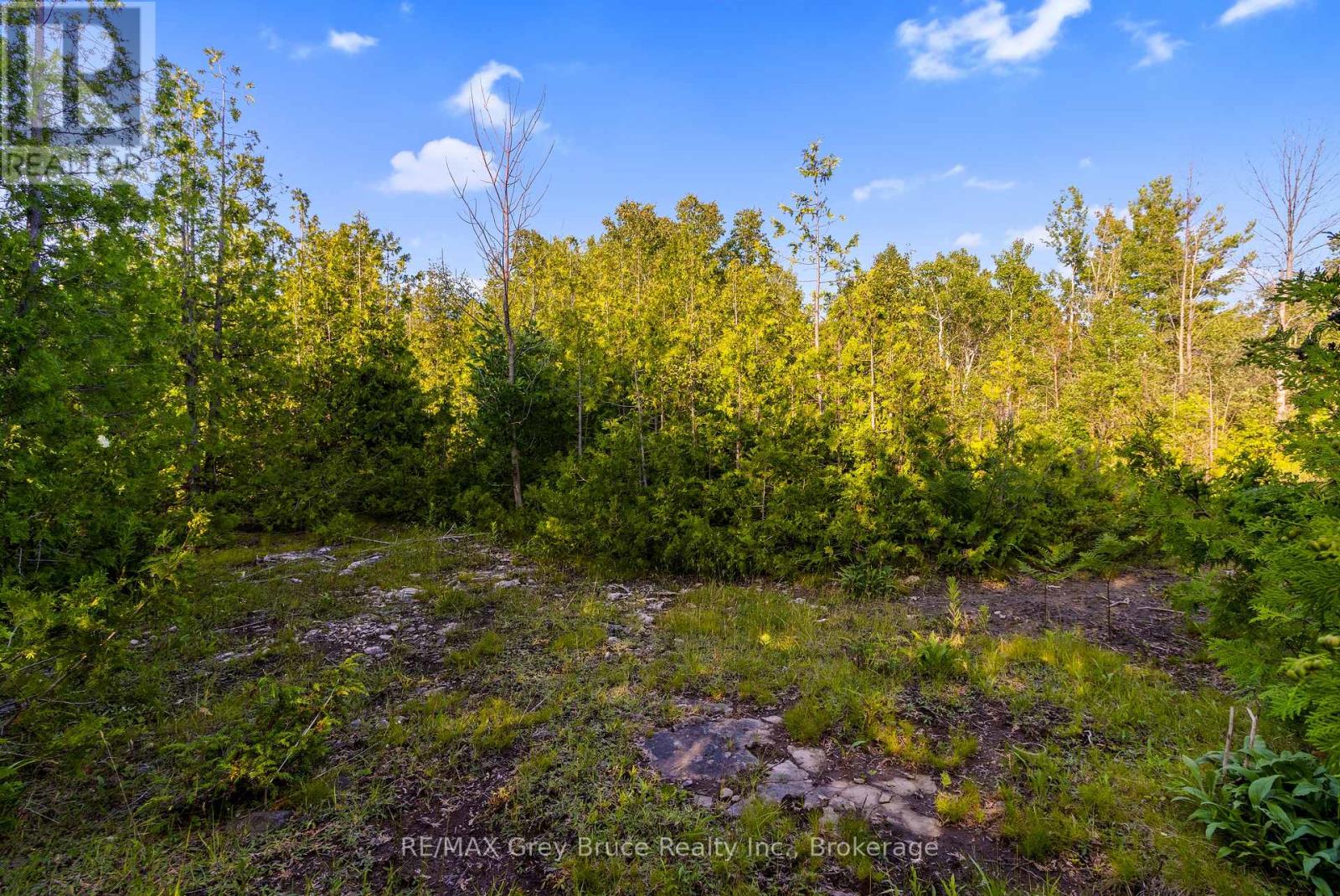 Pt 9/10 Highway 6, South Bruce Peninsula, Ontario  N0H 1Z0 - Photo 24 - X11964300